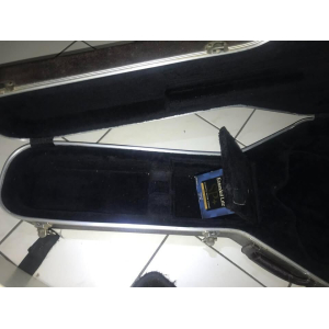 Takamine acoustic guitar case.