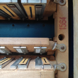 Cavagnolo Accordion