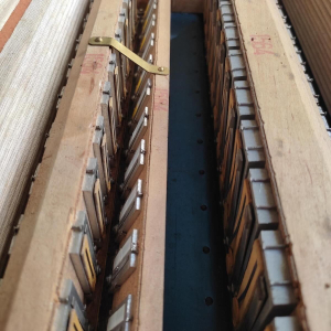 Accordéon Cavagnolo