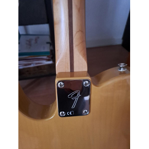 La serie Fender Player Telecaster