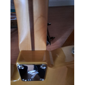 La serie Fender Player Telecaster