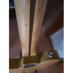 Fender Player Séries Telecaster