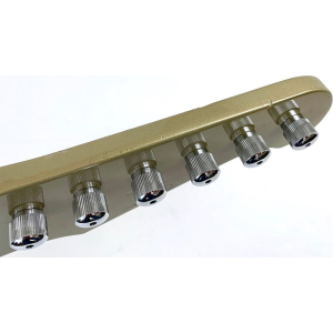 Gibson Firebird Elliot Easton "Tikibird" 2013 Gold Mist Poly