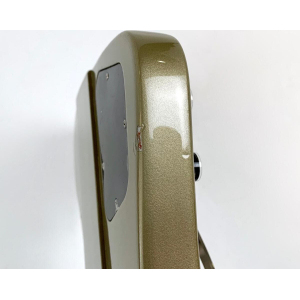 Gibson Firebird Elliot Easton "Tikibird" 2013 Gold Mist Poly