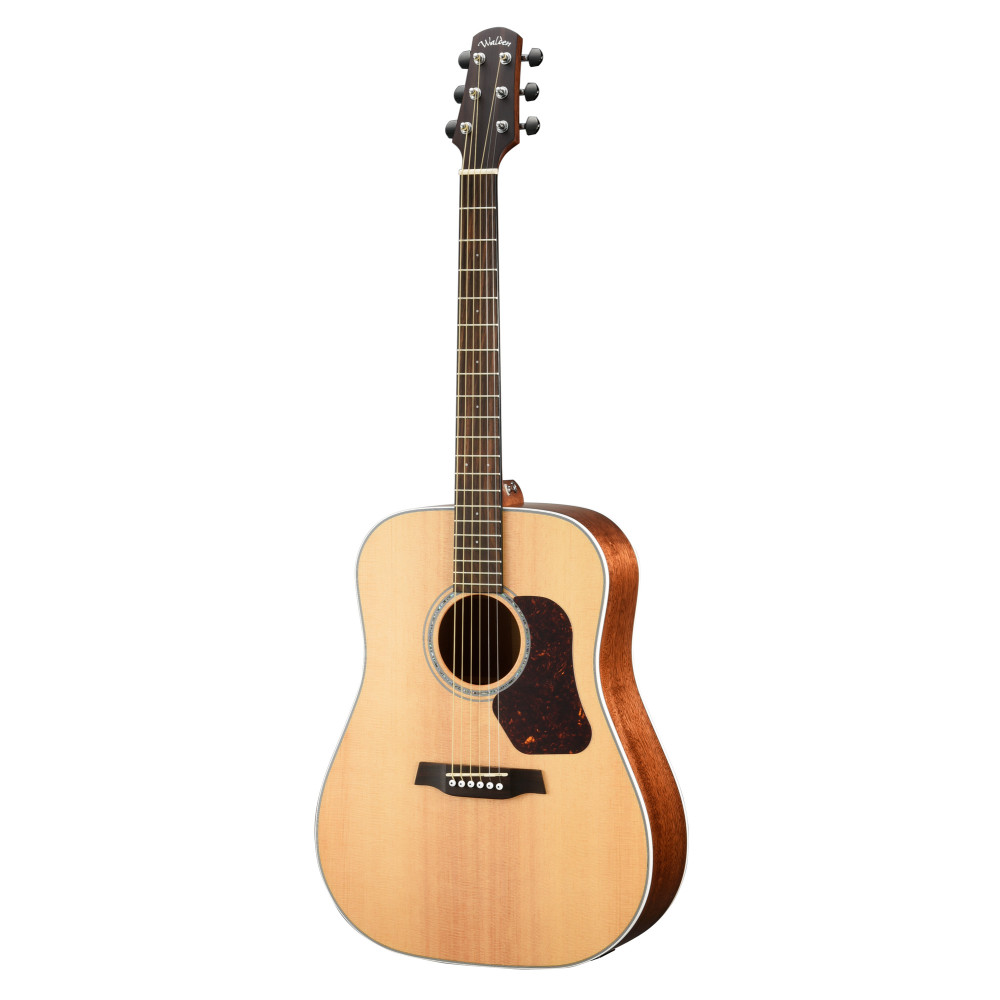 Walden Guitare Dreadnought D740ew