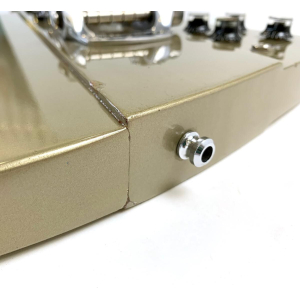 Gibson Firebird Elliot Easton "Tikibird" 2013 Gold Mist Poly