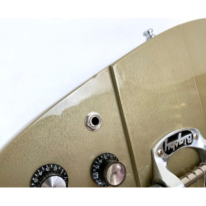 Gibson Firebird Elliot Easton "Tikibird" 2013 Gold Mist Poly