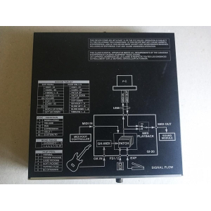 Roland GI20 synthétiseur guitare, basse
