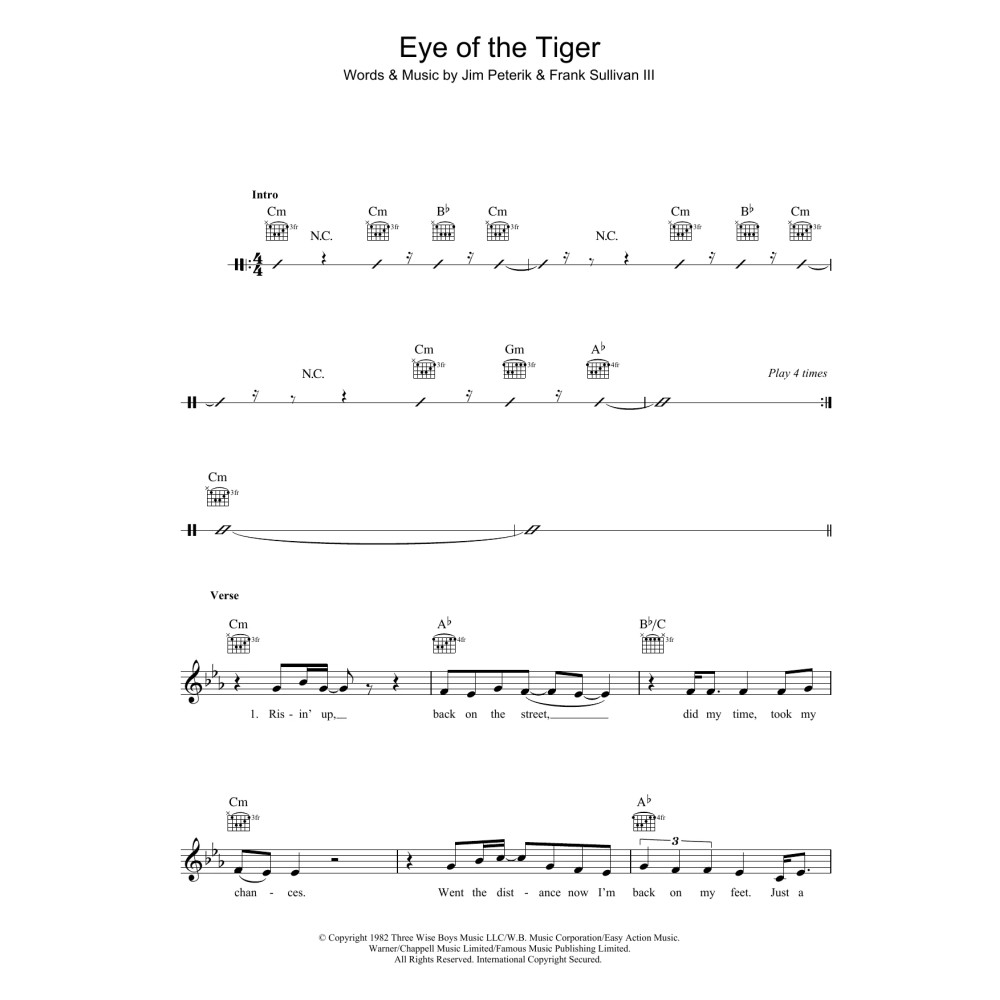 Eye Of The Tiger