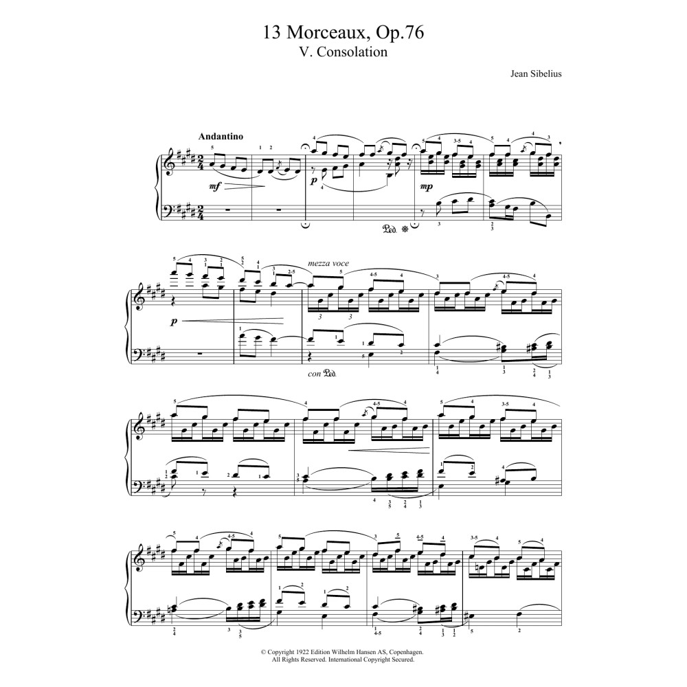 13 Morceaux, Op.76 - V. Consolation