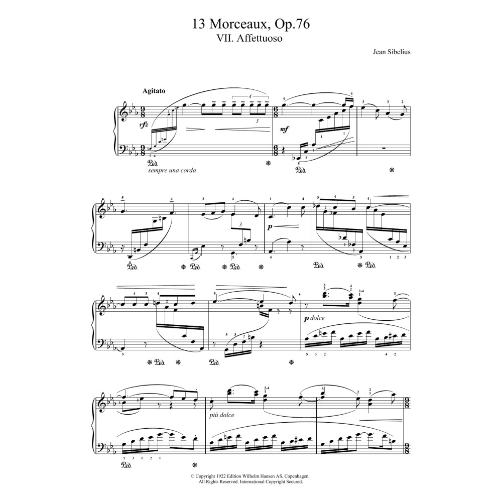 13 Morceaux, Op.76 - VII. Affettuoso