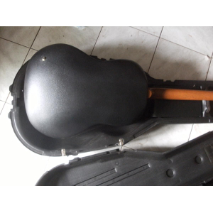 Ovation Matrix 1637 + ABS Case