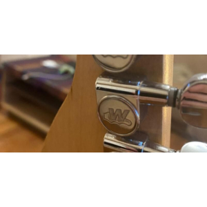 Telecaster (Partcaster) Relic, Suhr-style body