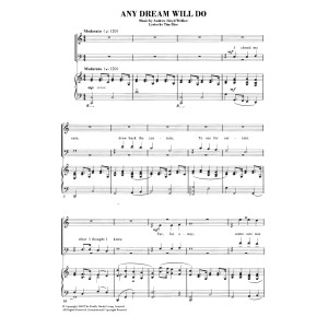 Any Dream Will Do (from Joseph And The Amazing Technicolor Dreamcoat)