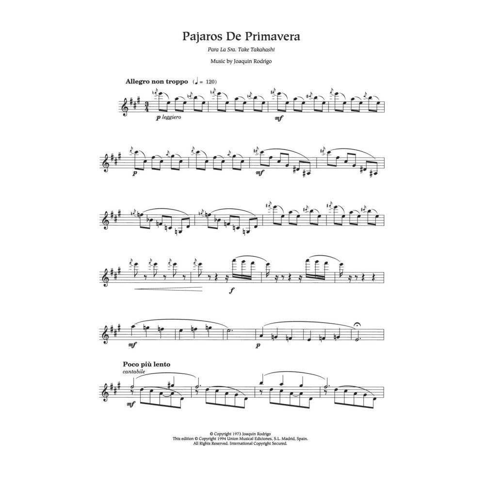 Pajaros De Primavera