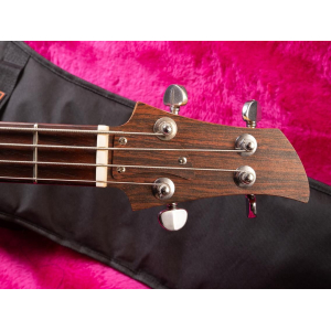 Ampeg Dan Armstrong Bass 1971 - Lucite