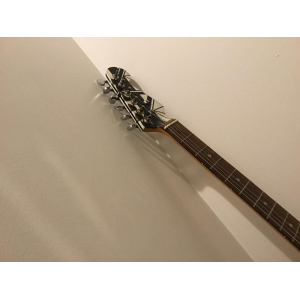 Stratocaster Relic EVH