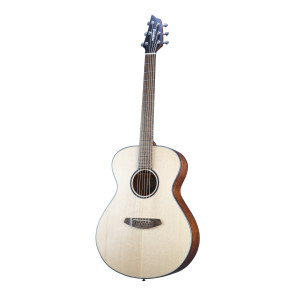 Breedlove Discovery S Concert Lh Gaucher