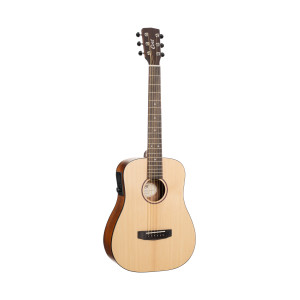 Guitare Cort Earth Go Hyvibe, Housse