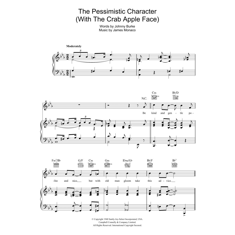 The Pessimistic Character (With The Crab Apple Face)