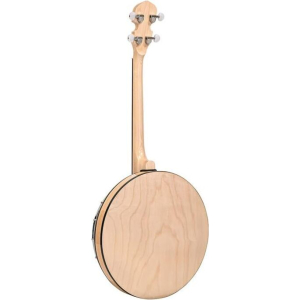 Gold Tone Cc-irish Tenor