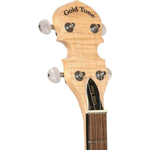 Gold Tone Cc-plectrum