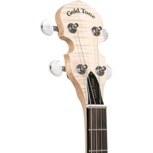 Gold Tone Cc-irish Tenor