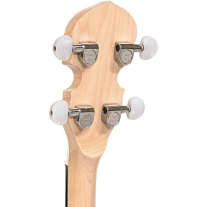 Gold Tone Cc-irish Tenor