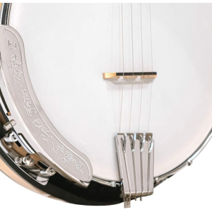 Gold Tone Cc-plectrum