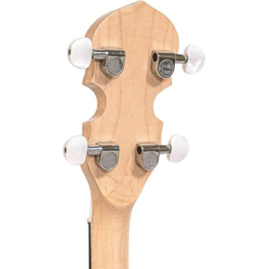 Gold Tone Cc-tenor