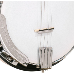 Gold Tone Cc-tenor
