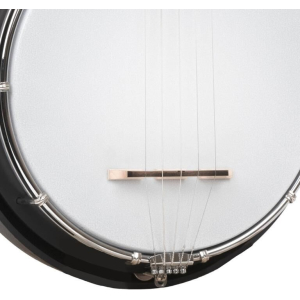 Gold Tone Ac-mini