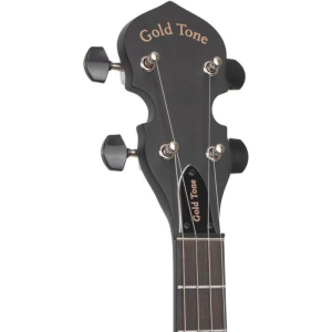 Gold Tone Ac-mini