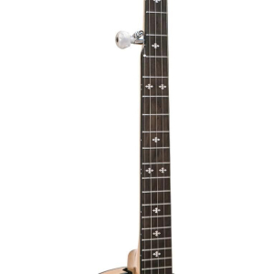Gold Tone Cc-100r