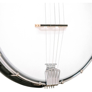 Gold Tone Ac-traveler