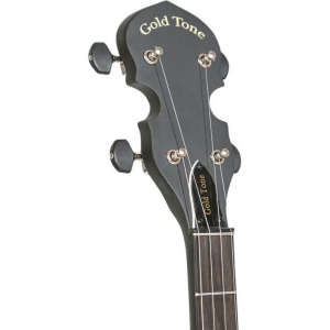 Gold Tone Ac-traveler