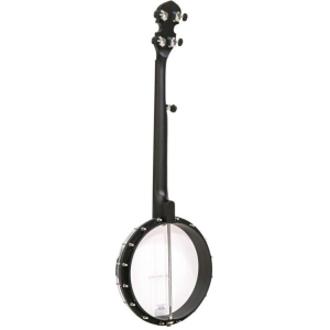 Gold Tone Ac-traveler