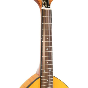 Gold Tone Gm-10