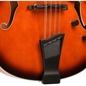 Gold Tone Mandocello