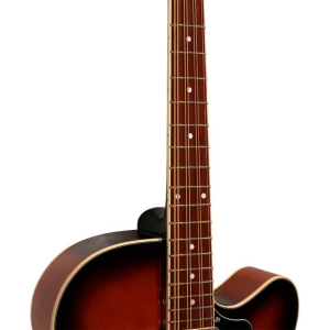 Gold Tone Mandocello