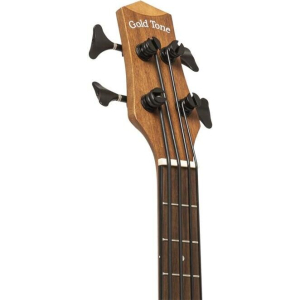 Gold Tone M-bass25