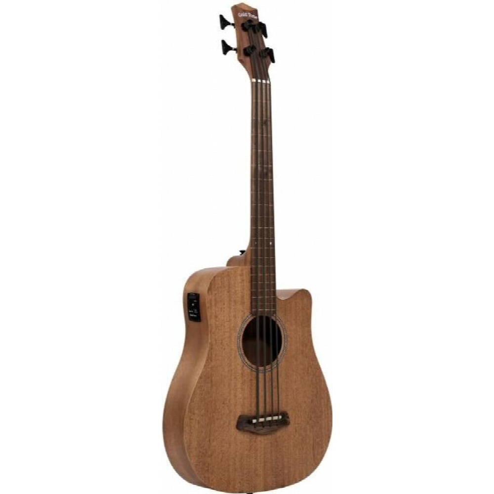 Gold Tone M-bass25/fl