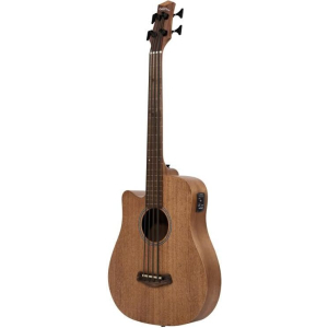 Gold Tone M-bass25/fl/l