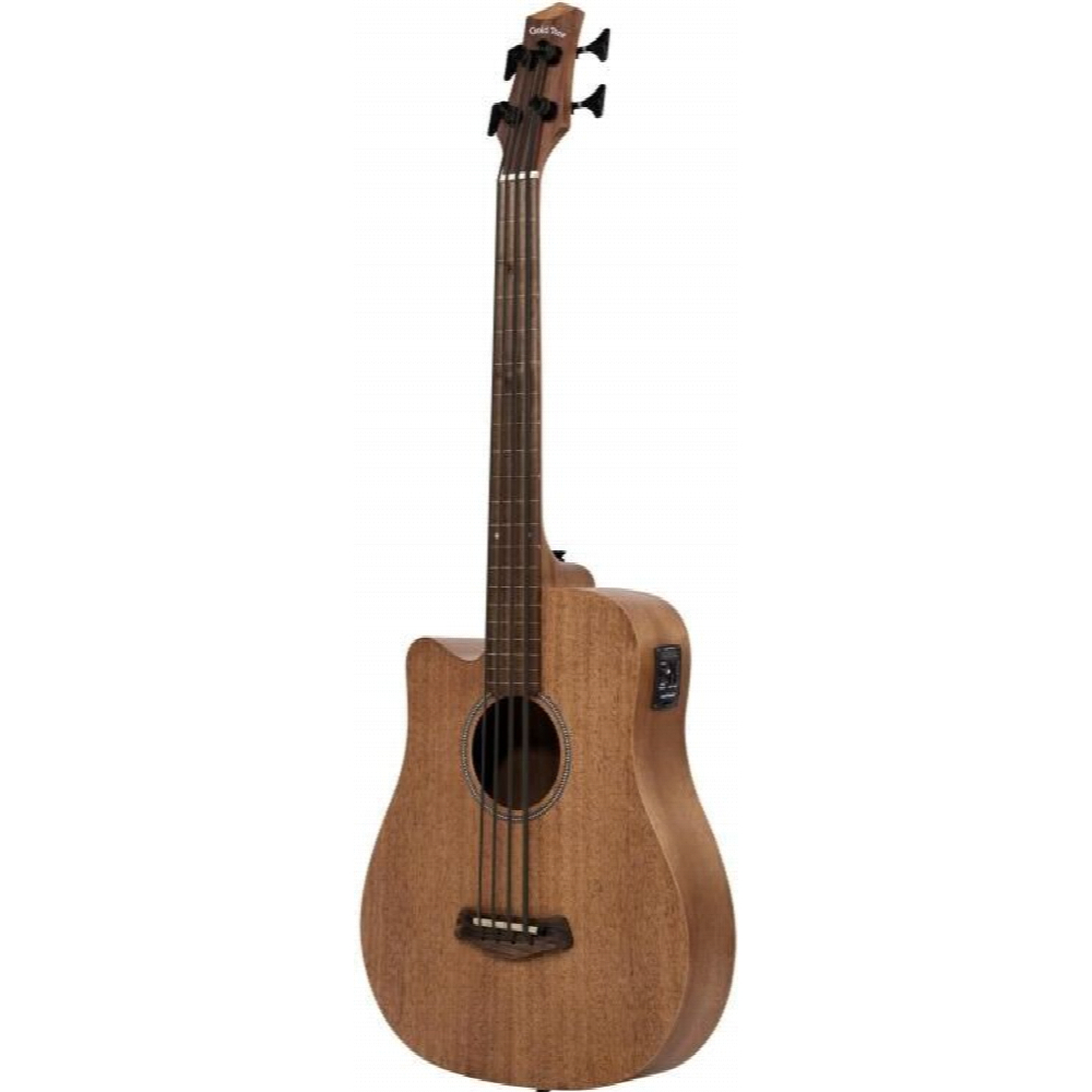 Gold Tone M-bass25/fl/l