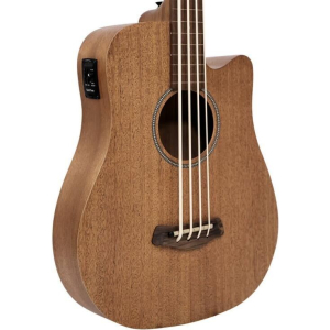 Gold Tone M-bass25/fl