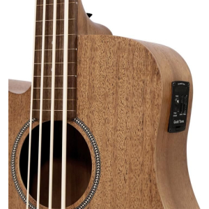 Gold Tone M-bass25/fl/l