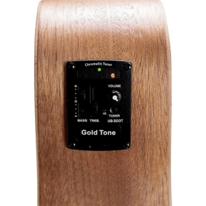 Gold Tone M-bass25/fl/l