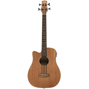 Gold Tone M-bass25/l