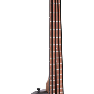 Gold Tone Me-bass