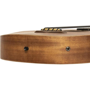 Gold Tone M-bass25/l